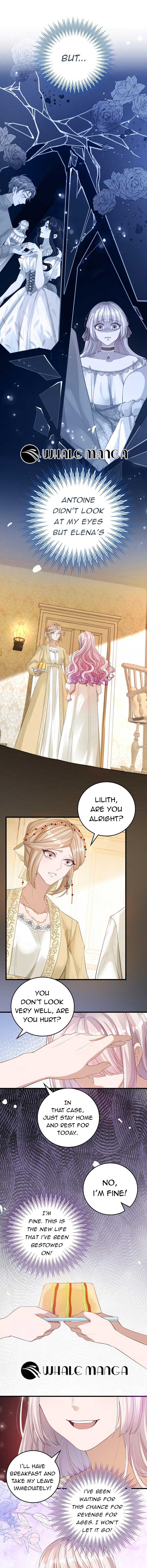 A Thousand Ways For Her to Take Revenge Chapter 2 page 3