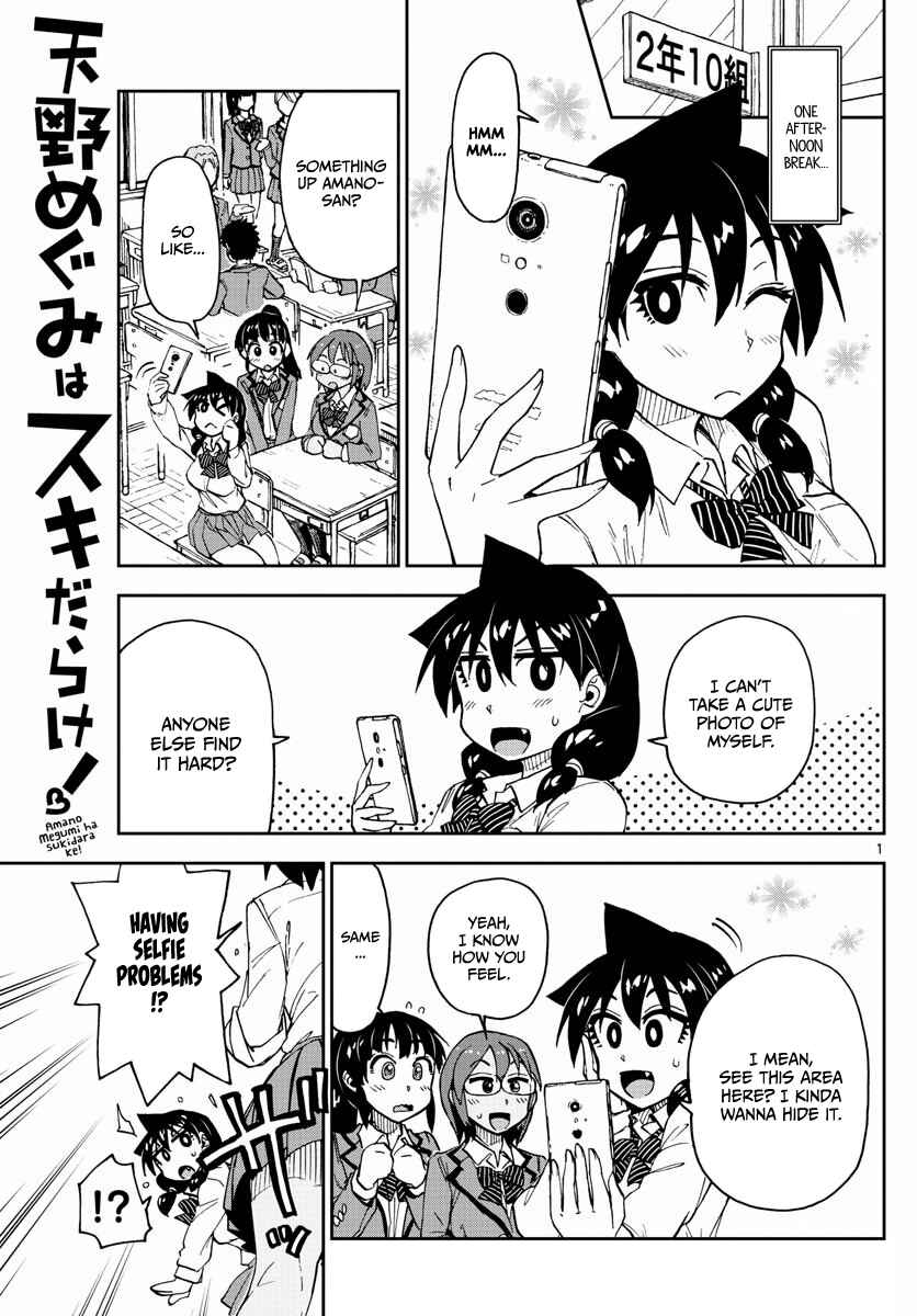 Amano Megumi wa Suki Darake! Chapter 117 page 0
