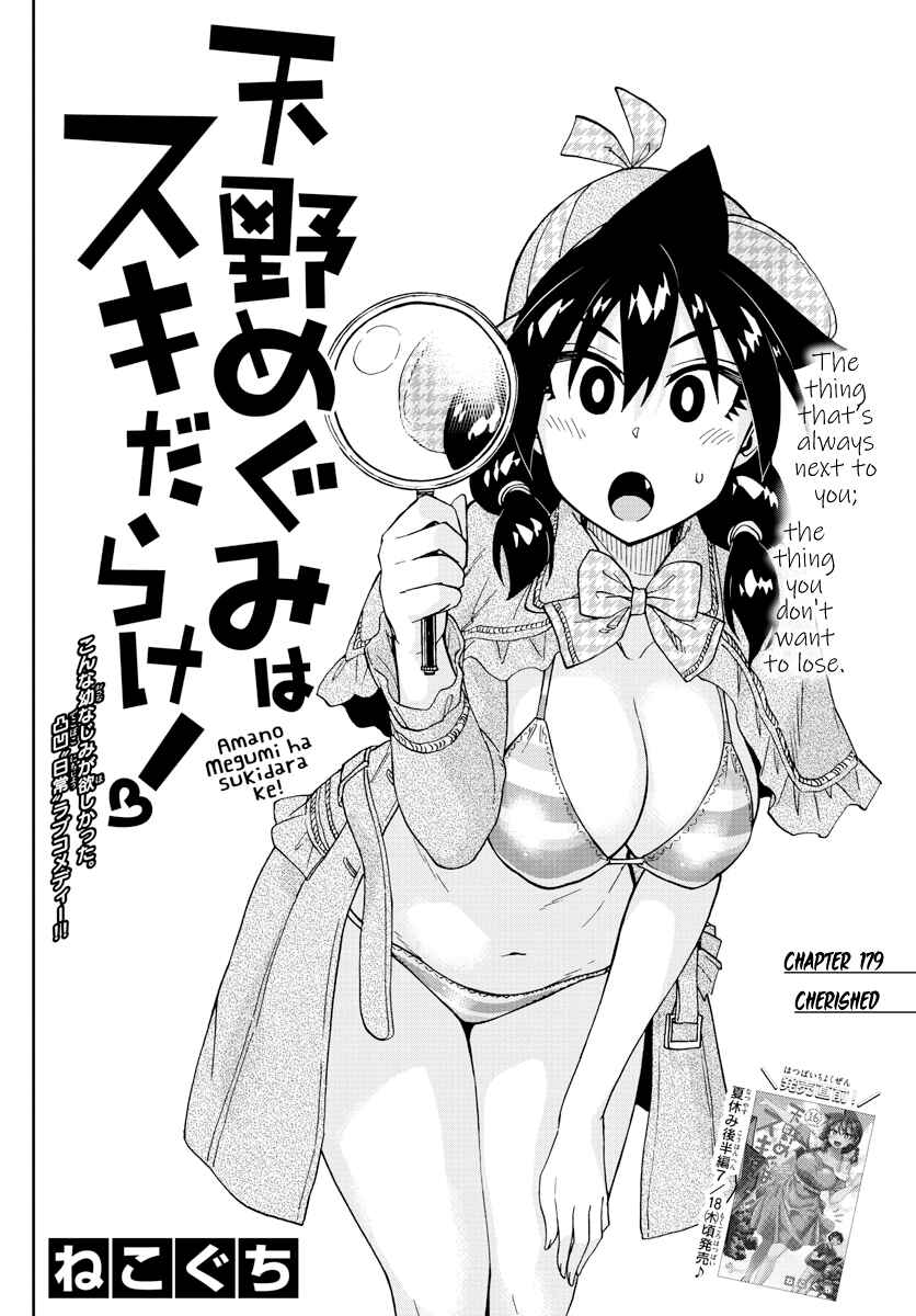 Amano Megumi wa Suki Darake! Chapter 179 page 1
