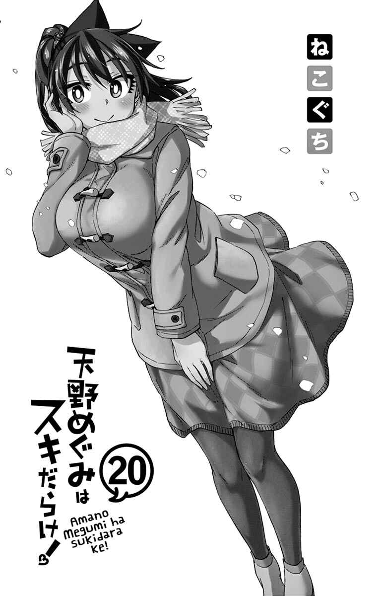 Amano Megumi wa Suki Darake! Chapter 199.5 page 6