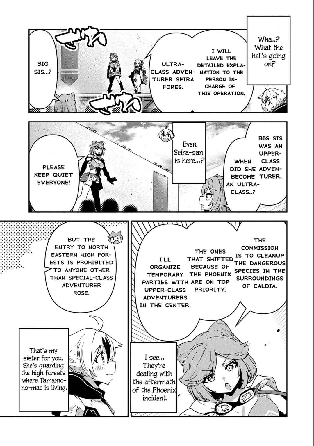 Ane ni Iwareru ga Mama ni Tokkun wo Shiteitara, Tondemonai Tsuyosa ni Natteita Otouto ~Burakon Ane ni Kitaeraresugita Shinmai Boukensha, Yagate Eiyuu to Naru~ Chapter 10 page 15