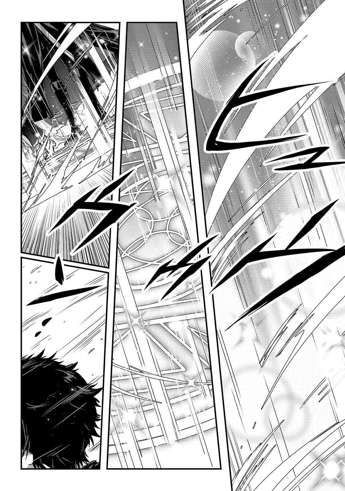 Assassin de Aru Ore no Sutetasu ga Yuusha Yori mo Akiraka ni Tsuyoi Nodaga Chapter 13 page 6