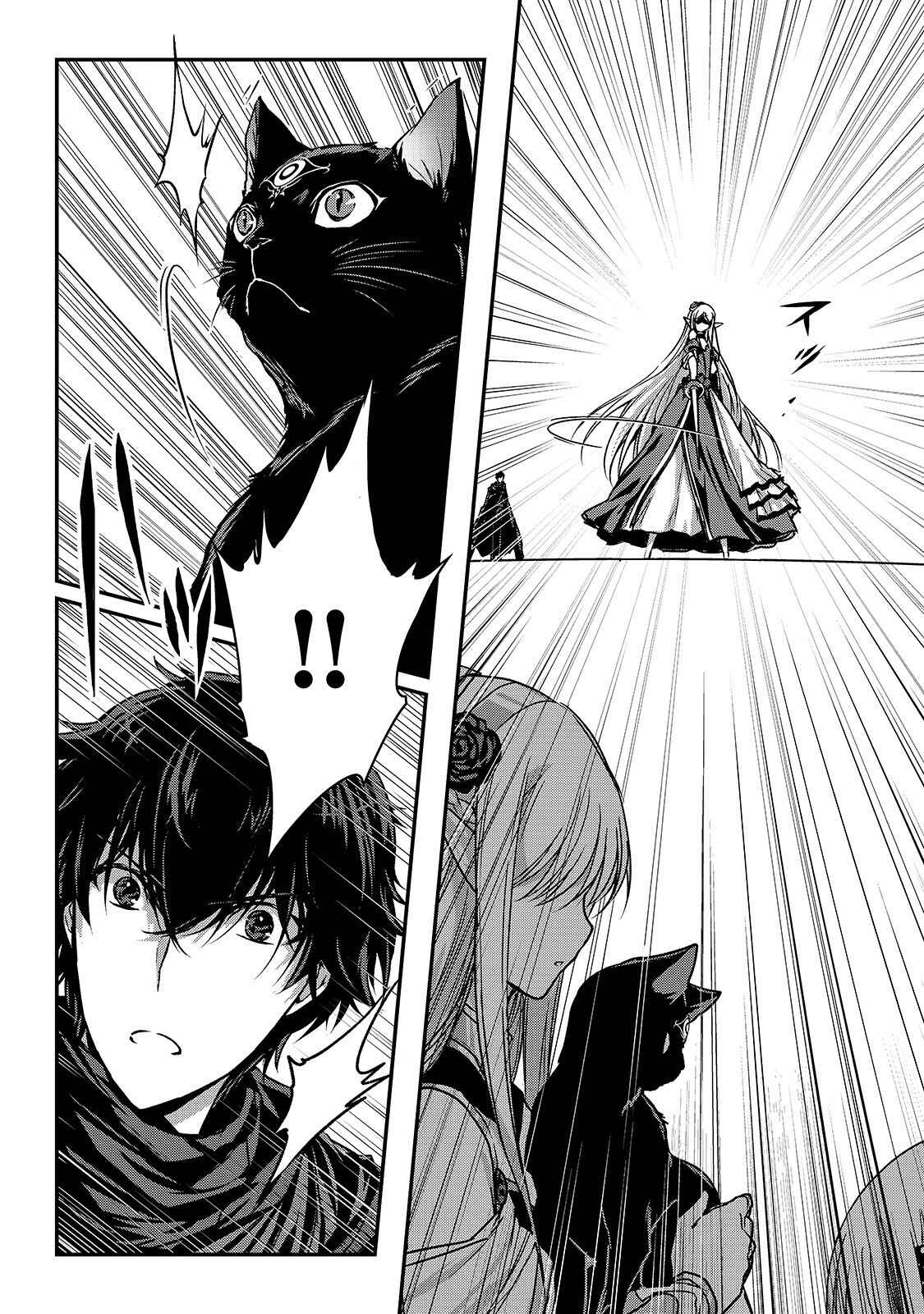 Assassin de Aru Ore no Sutetasu ga Yuusha Yori mo Akiraka ni Tsuyoi Nodaga Chapter 16.2 page 10