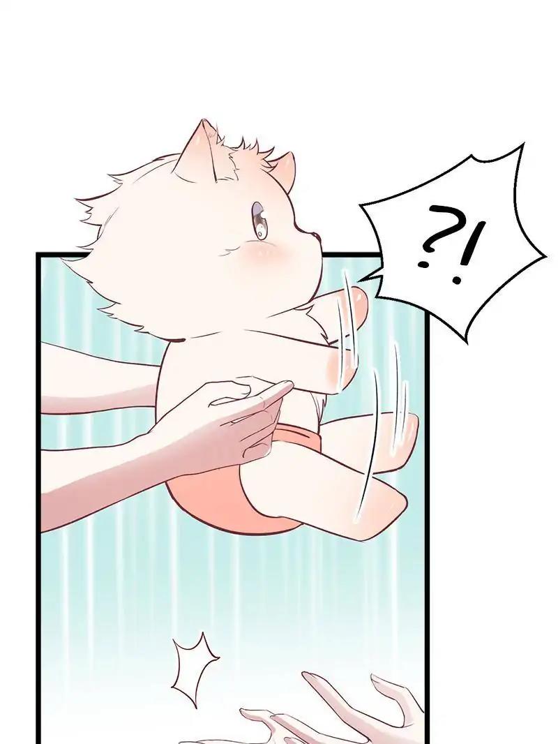 Beauty and the Beasts Chapter 71 page 11