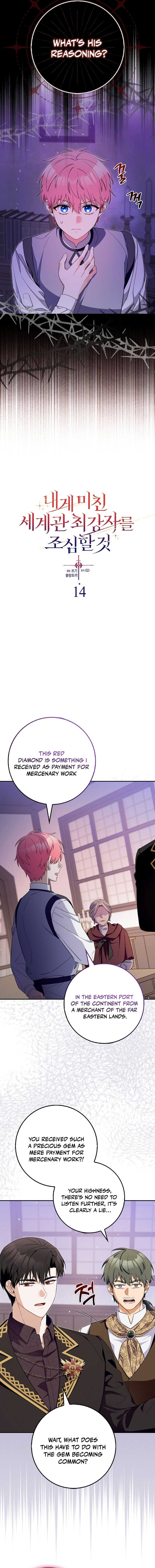 Beware of the Strongest Man Who is Crazy About Me Chapter 14 page 3