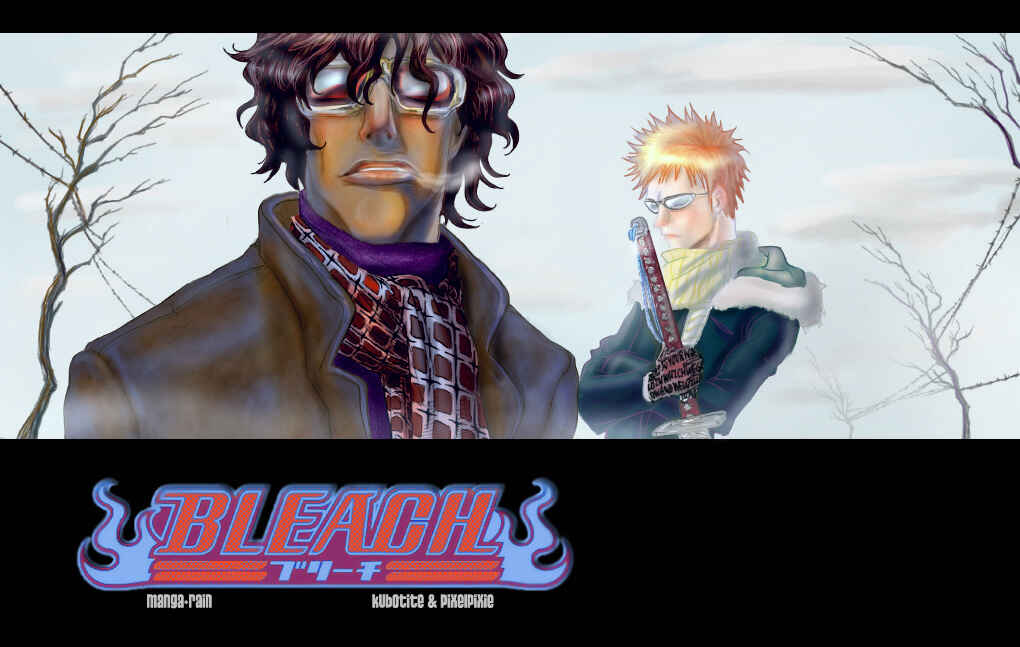 Bleach Chapter 113 page 19