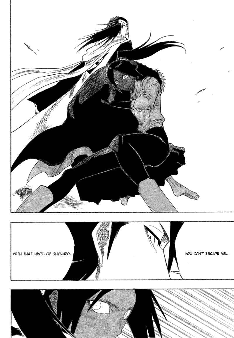 Bleach Chapter 118 page 18
