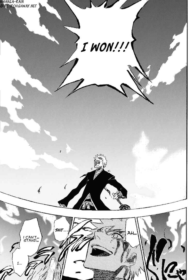 Bleach Chapter 167 page 14
