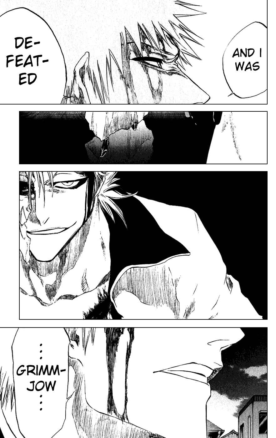 Bleach Chapter 212 page 18