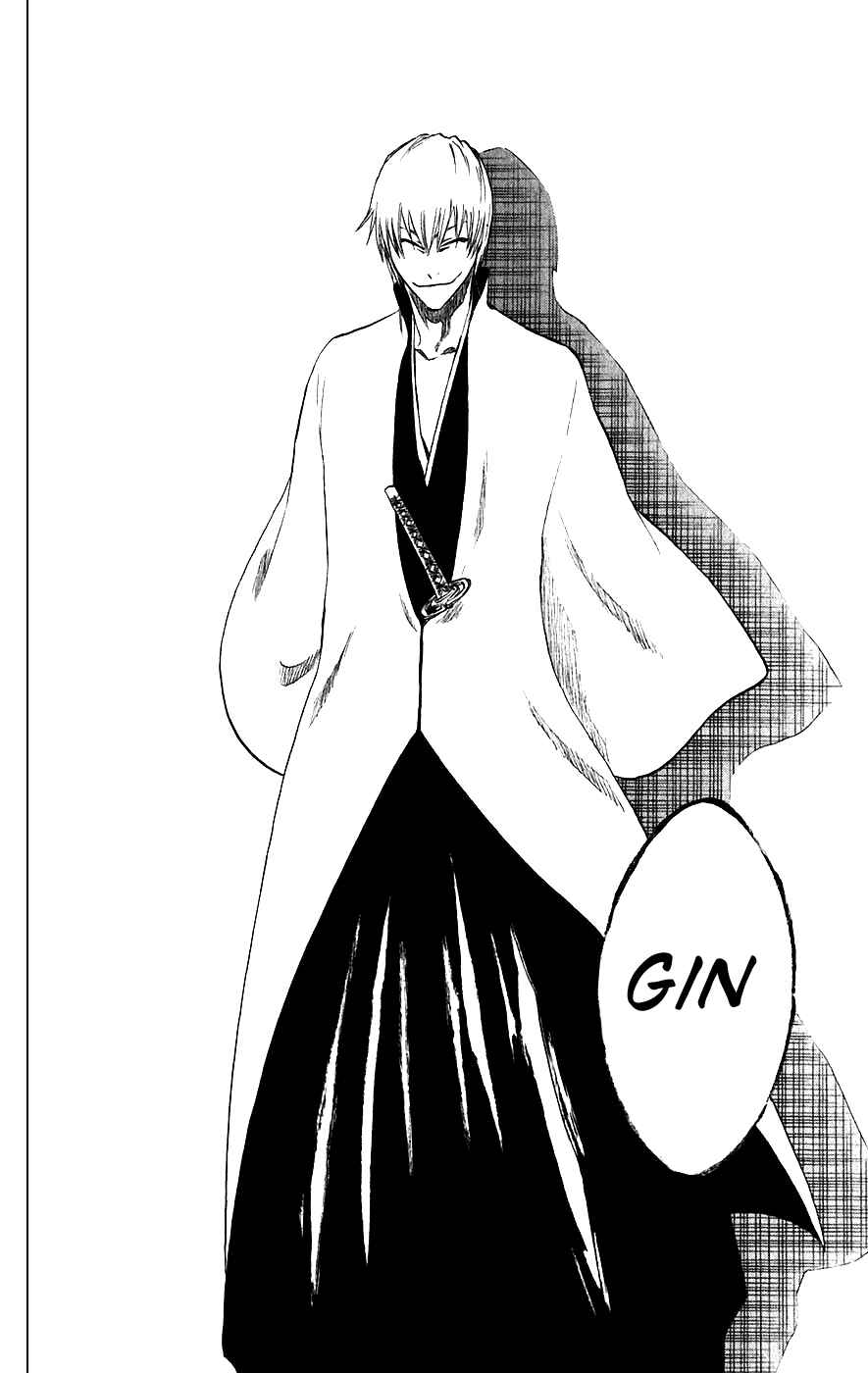 Bleach Chapter 213 page 17