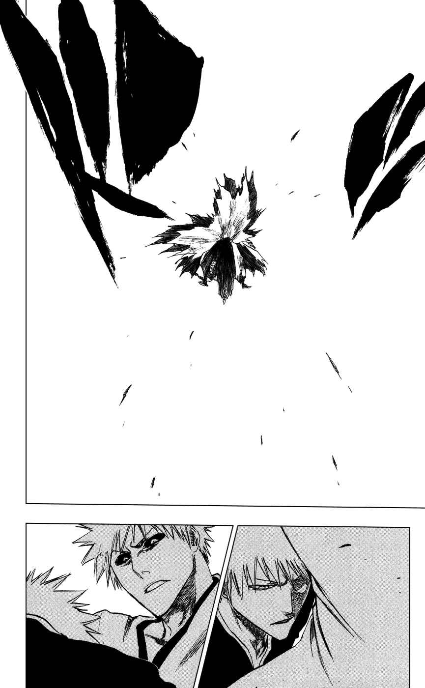 Bleach Chapter 221 page 13