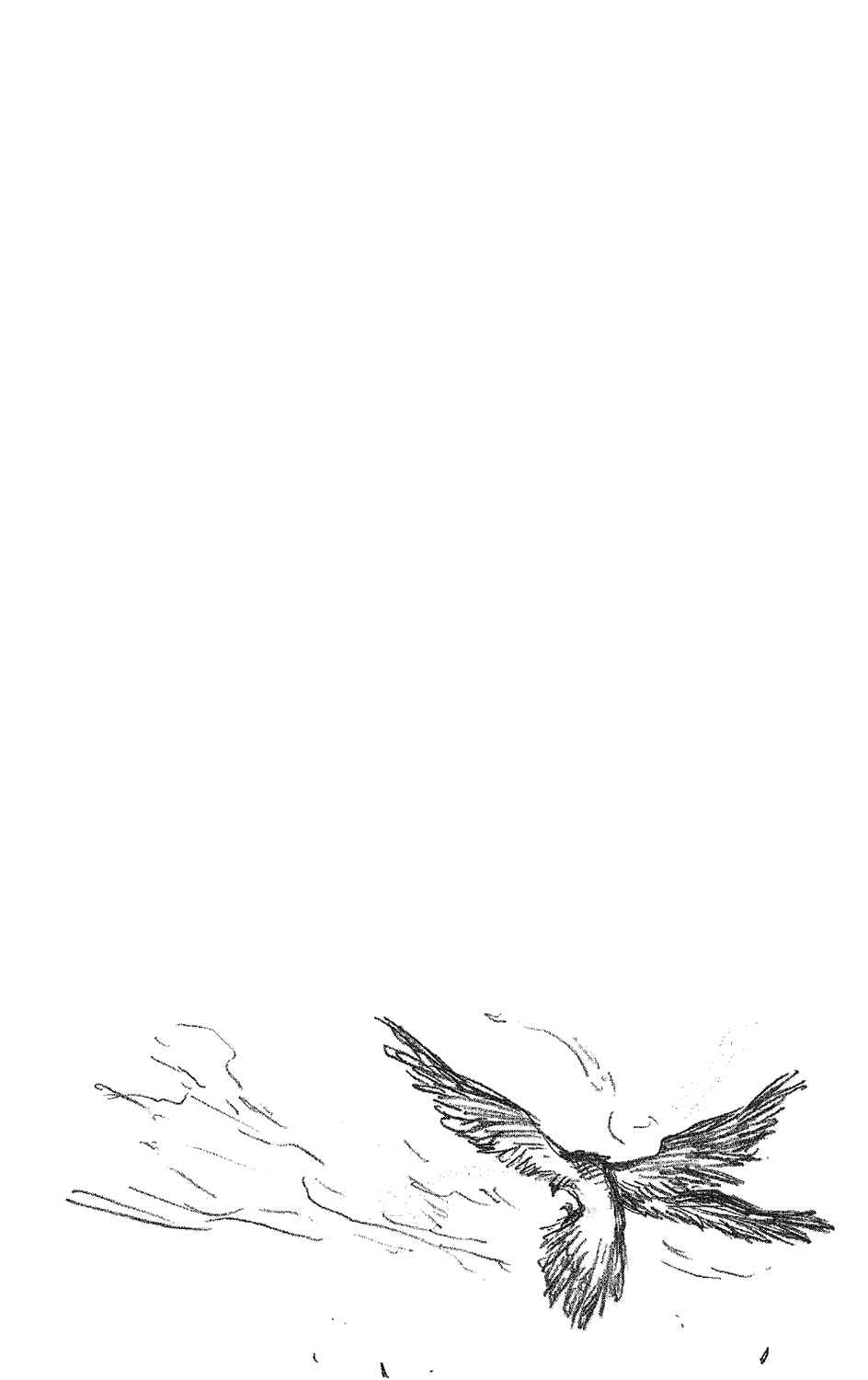 Bleach Chapter 239 page 23