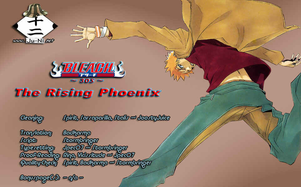 Bleach Chapter 305 page 0