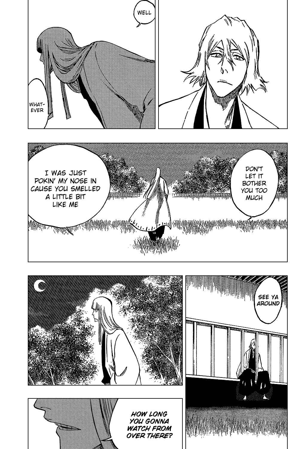 Bleach Chapter 315.2 page 18