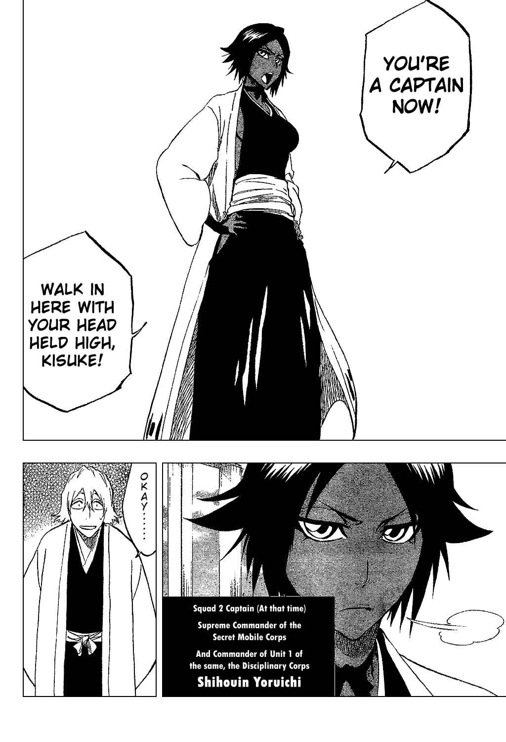 Bleach Chapter 315.2 page 6