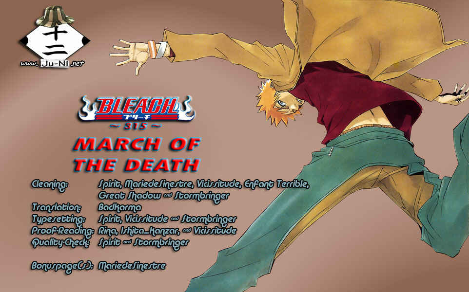 Bleach Chapter 315 page 0