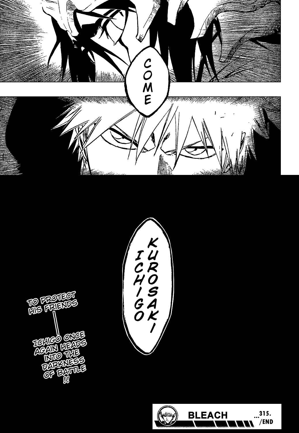 Bleach Chapter 315 page 17