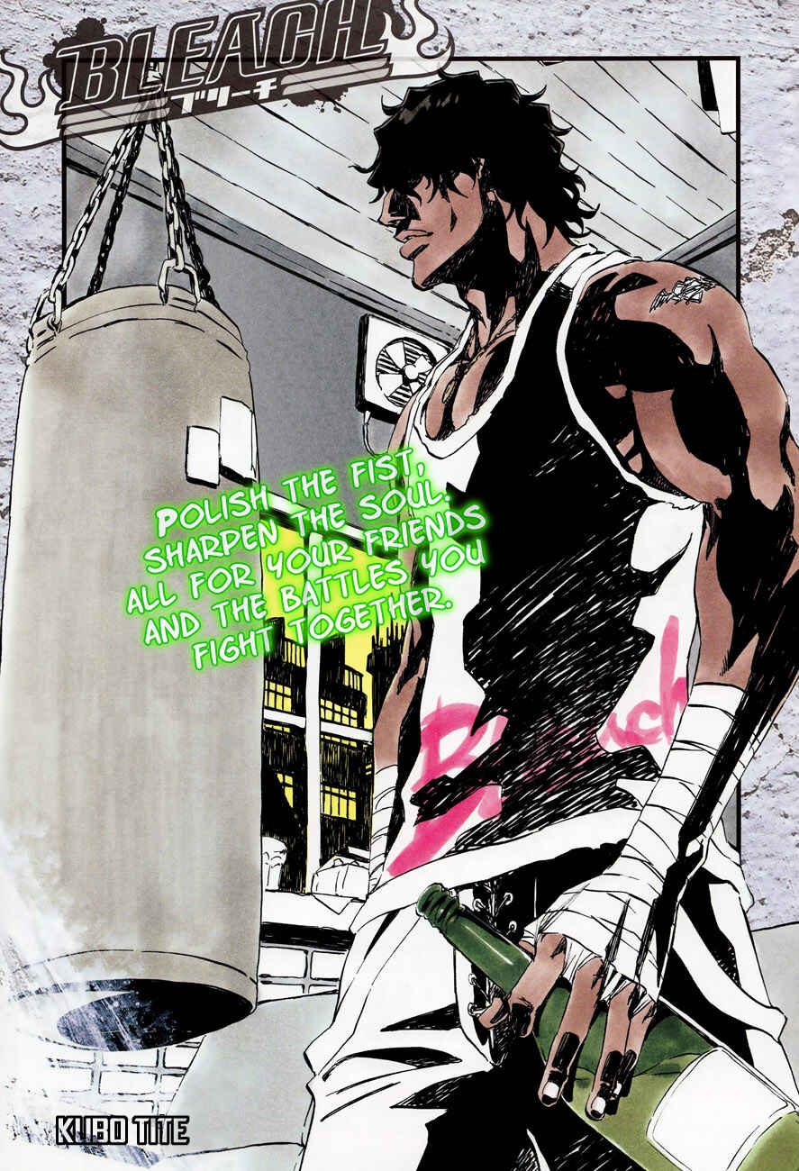 Bleach Chapter 363 page 2