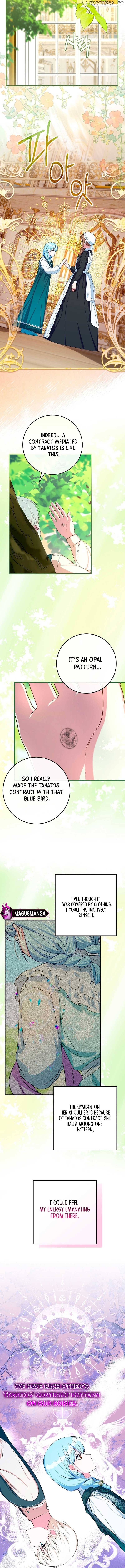 Bluebird Lady and The White Lion Family Chapter 20 page 1