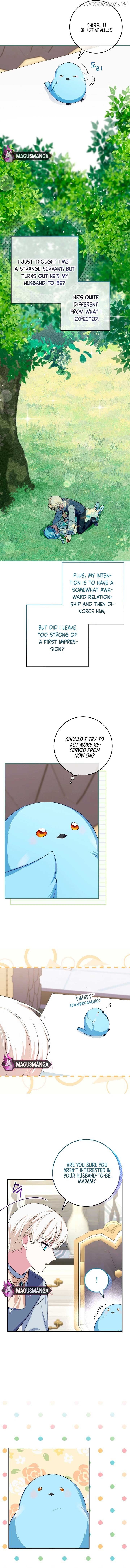 Bluebird Lady and The White Lion Family Chapter 8 page 7