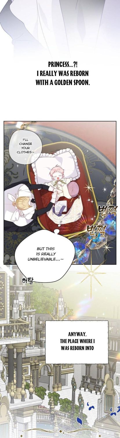 Born a Princess Chapter 1 page 17