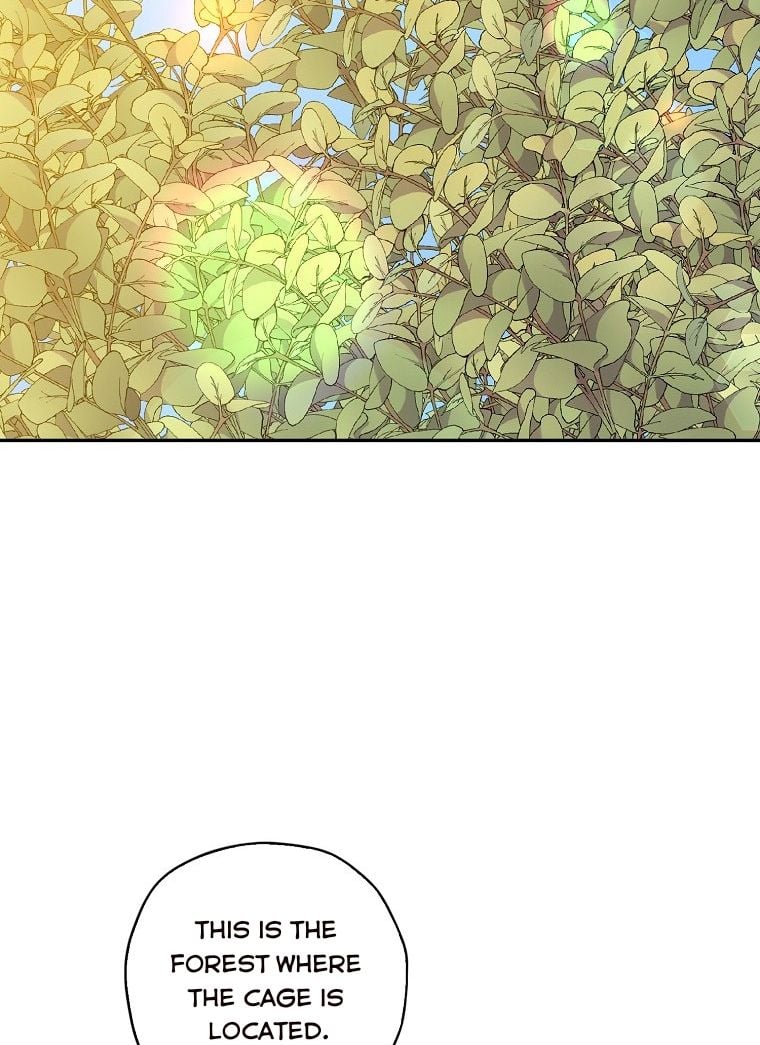 Born as the Daughter of a Wicked Woman Chapter 15 page 67