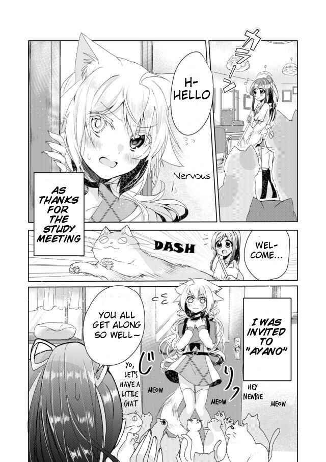 Catulus Syndrome Chapter 4 page 1