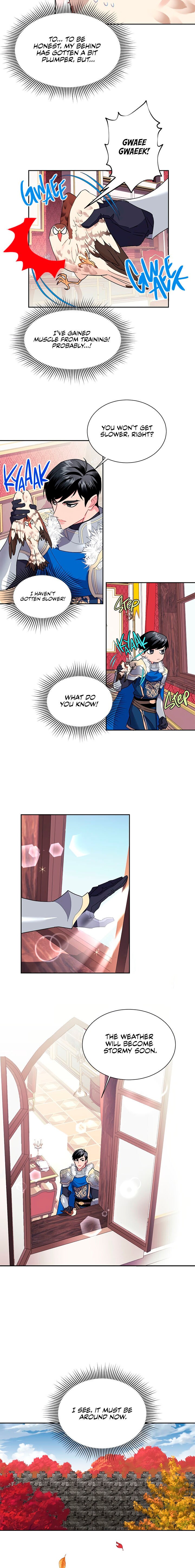 Cavier Falcon Princess Chapter 10 page 12