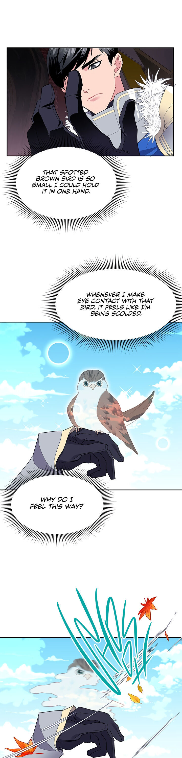 Cavier Falcon Princess Chapter 10 page 17