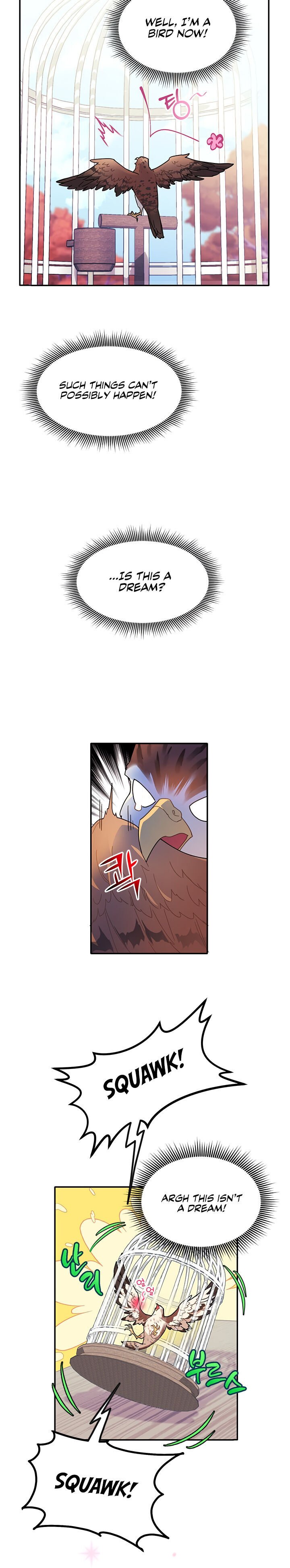 Cavier Falcon Princess Chapter 2 page 1