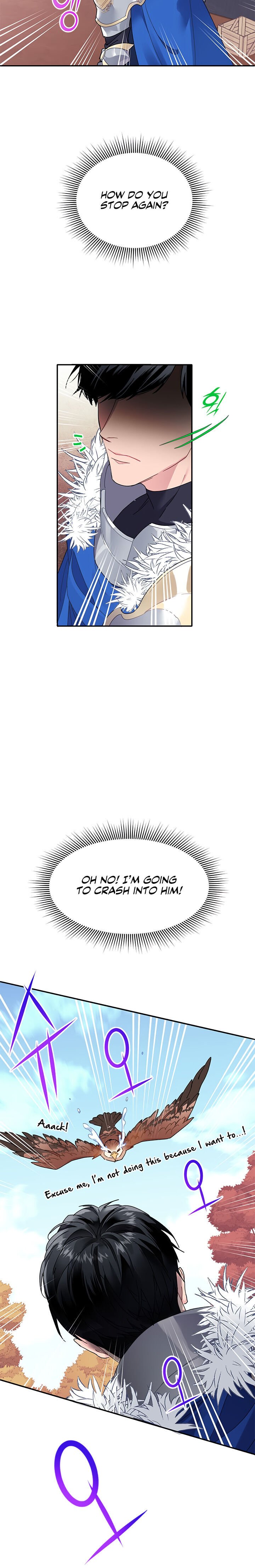 Cavier Falcon Princess Chapter 2 page 21