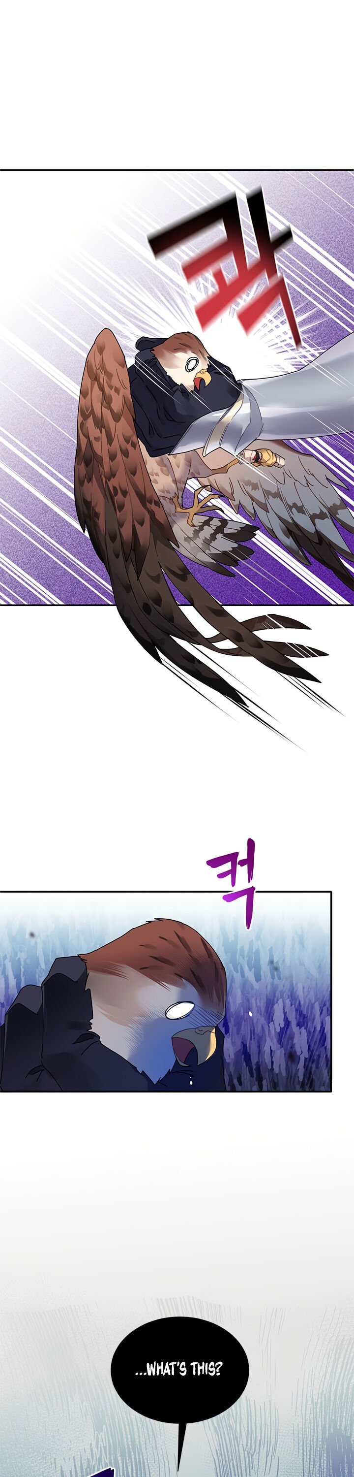 Cavier Falcon Princess Chapter 2 page 22