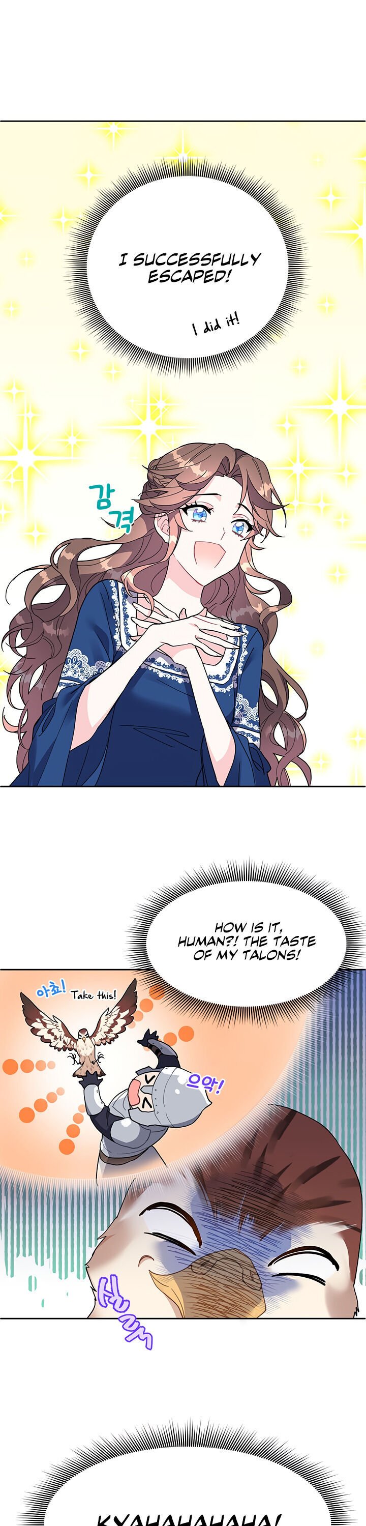 Cavier Falcon Princess Chapter 2 page 8