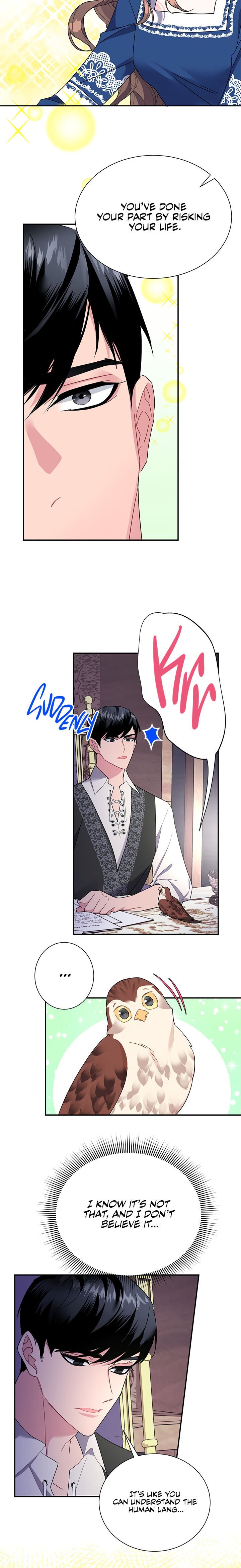 Cavier Falcon Princess Chapter 21 page 21