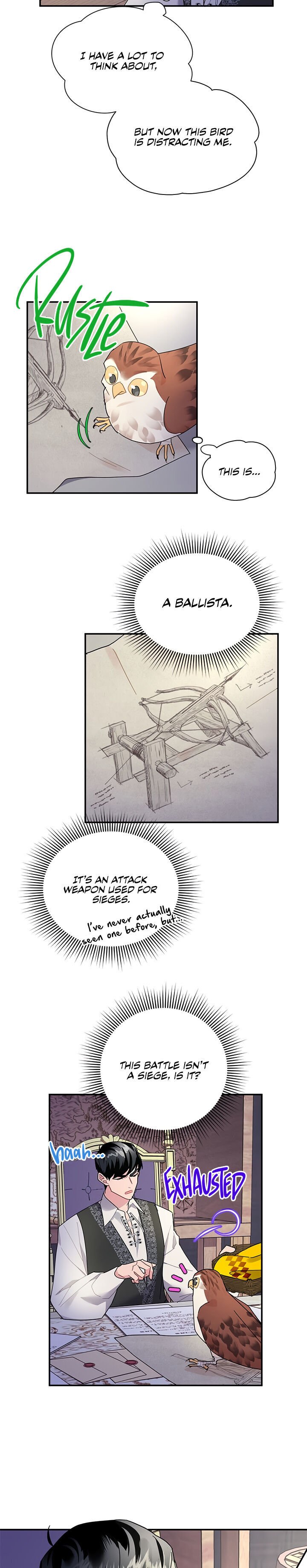Cavier Falcon Princess Chapter 21 page 2