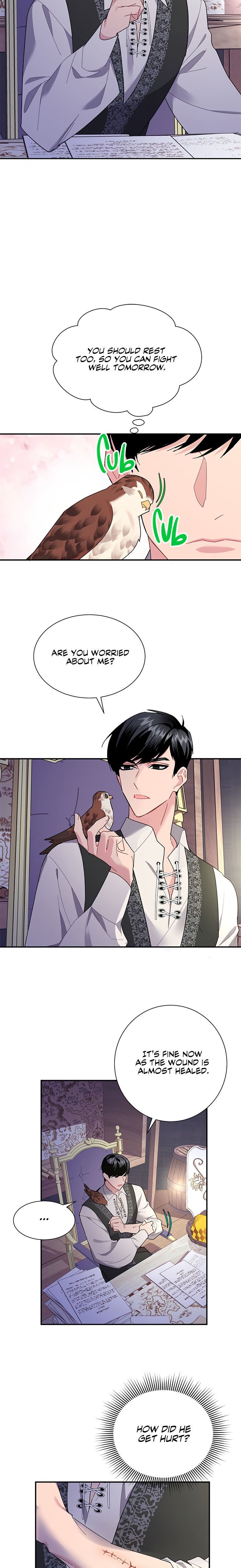 Cavier Falcon Princess Chapter 21 page 4