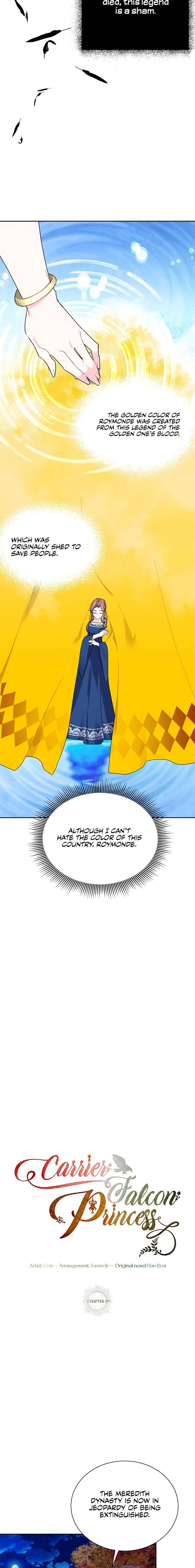 Cavier Falcon Princess Chapter 29 page 10