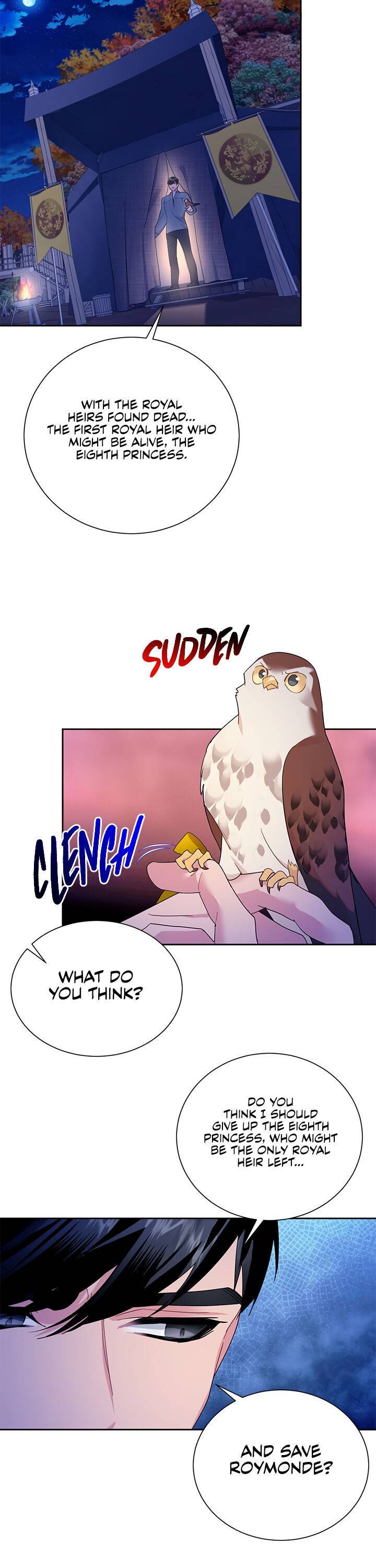 Cavier Falcon Princess Chapter 29 page 11