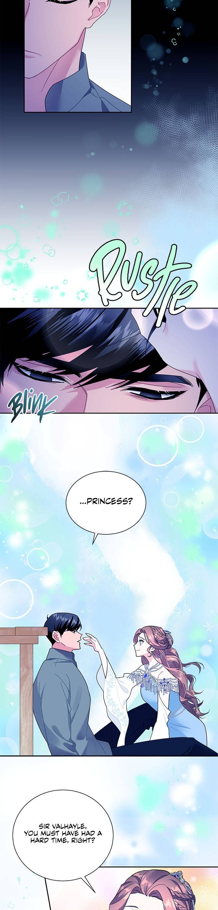 Cavier Falcon Princess Chapter 29 page 17