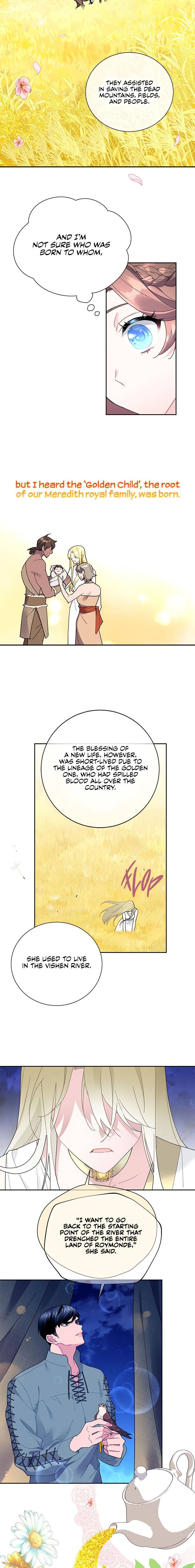 Cavier Falcon Princess Chapter 29 page 4