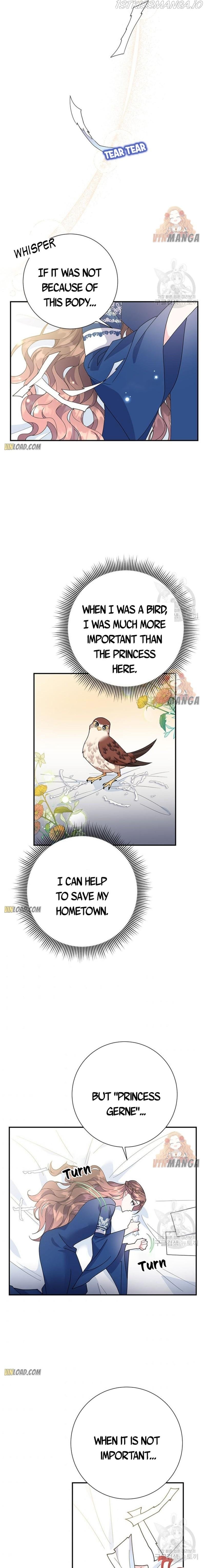 Cavier Falcon Princess Chapter 46 page 10