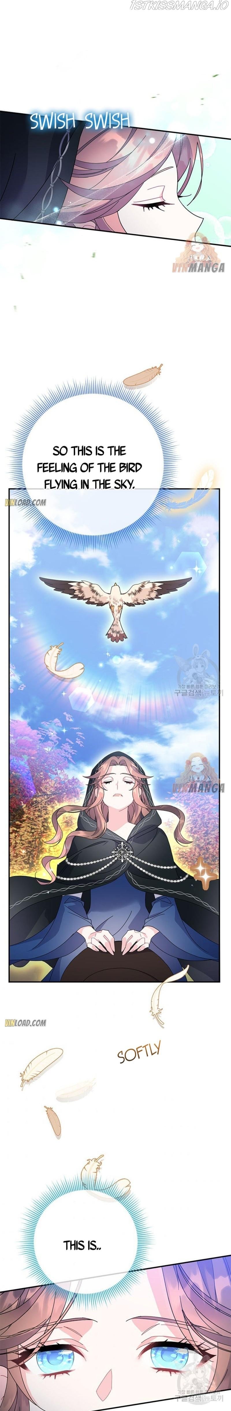 Cavier Falcon Princess Chapter 46 page 20