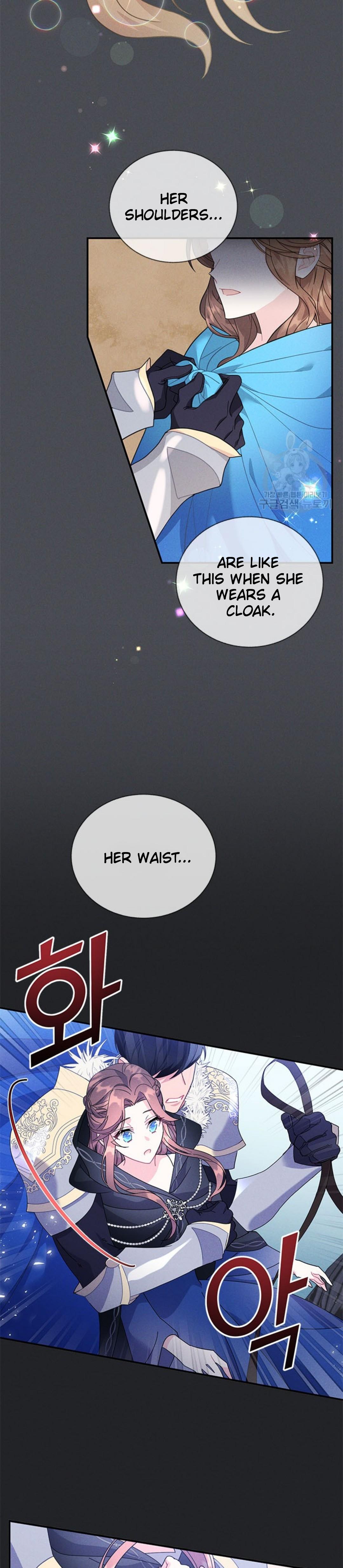 Cavier Falcon Princess Chapter 73 page 17