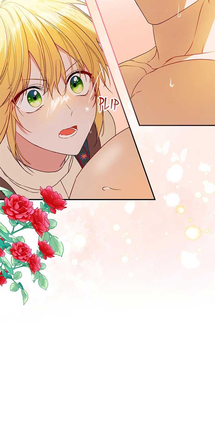 Choose your husband Carefully Chapter 45 page 27