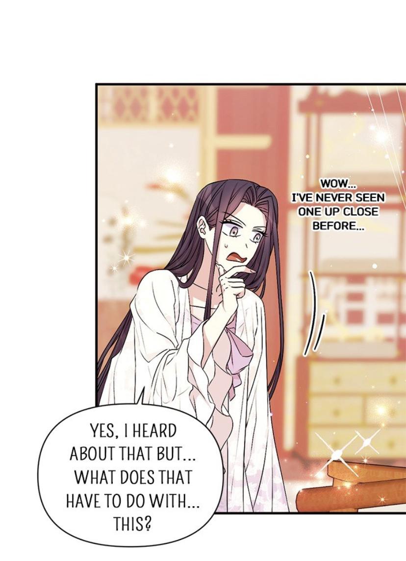College Student Empress Chapter 62 page 19