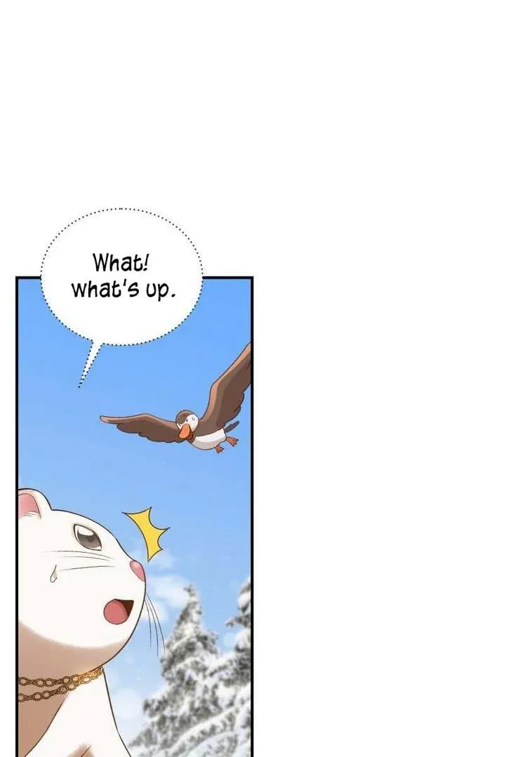 Death to the white ferret weasel Chapter 13 page 12