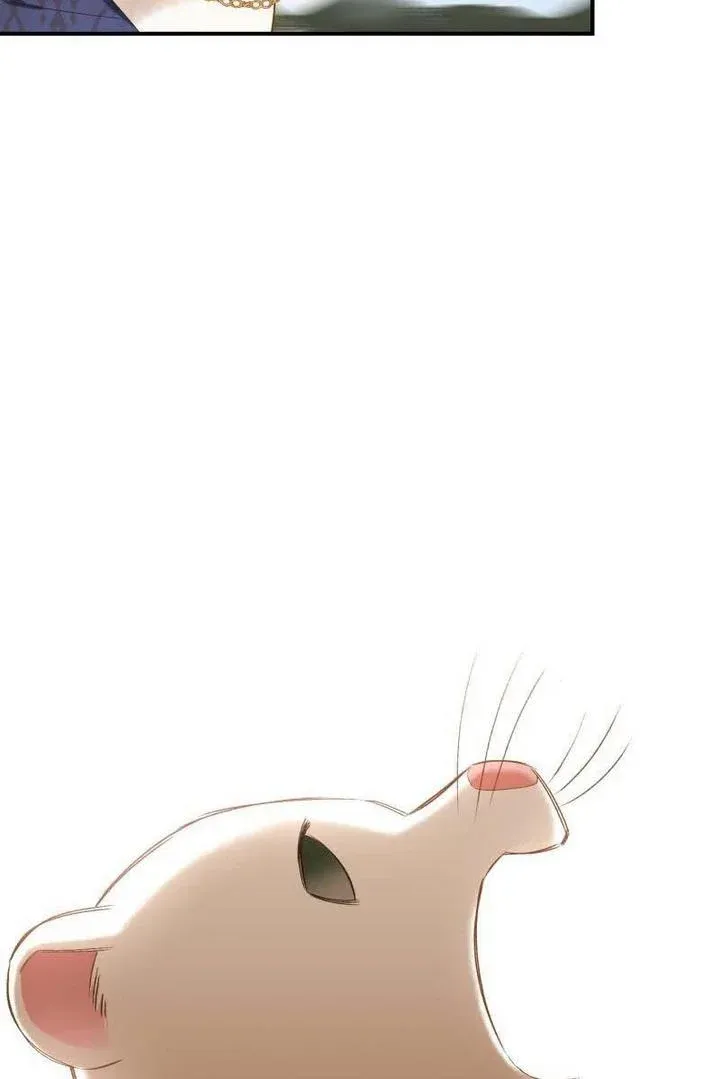 Death to the white ferret weasel Chapter 13 page 41