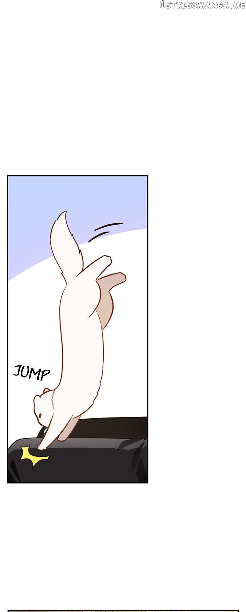 Death to the white ferret weasel Chapter 62 page 9