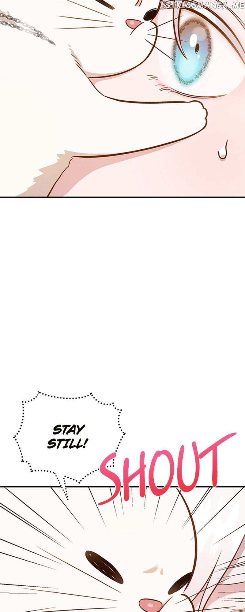 Death to the white ferret weasel Chapter 62 page 2