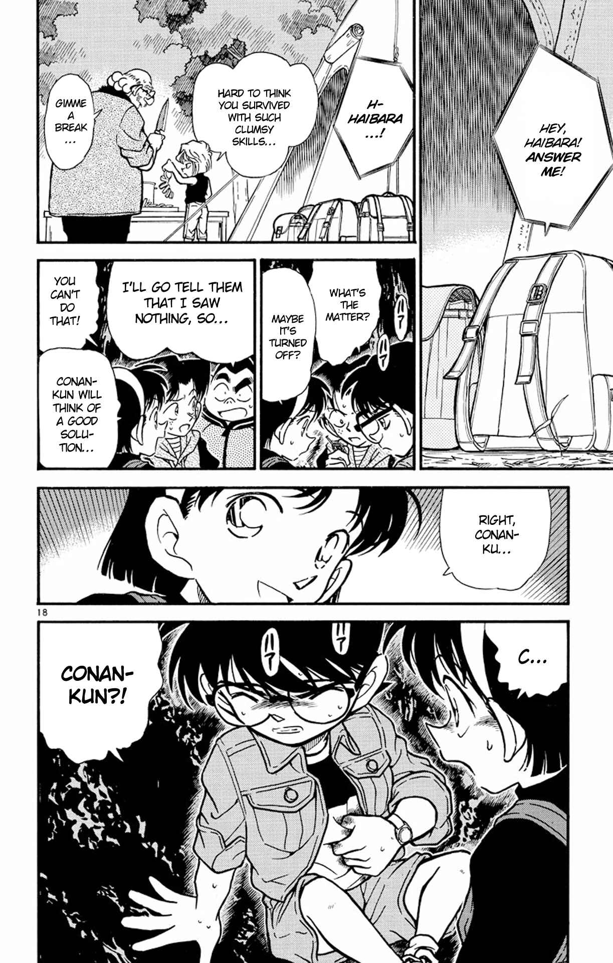 Detective Conan Chapter 251 page 18